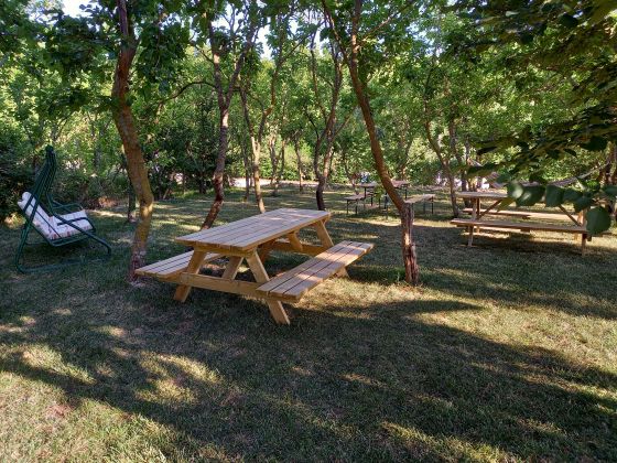 Tenuta San  Felice - foto 8